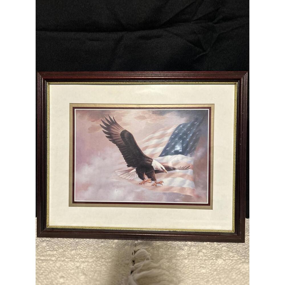 Unbranded Bald Eagle American Flag Framed Print 16x12 Patriotic Art